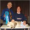 Gromit Best HH Pet Gromit Best HH Pet